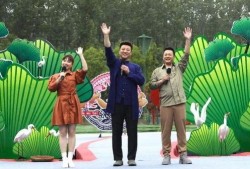 成都公园爆料视频最新2020,探寻成都绿意盎然的休闲生活画卷